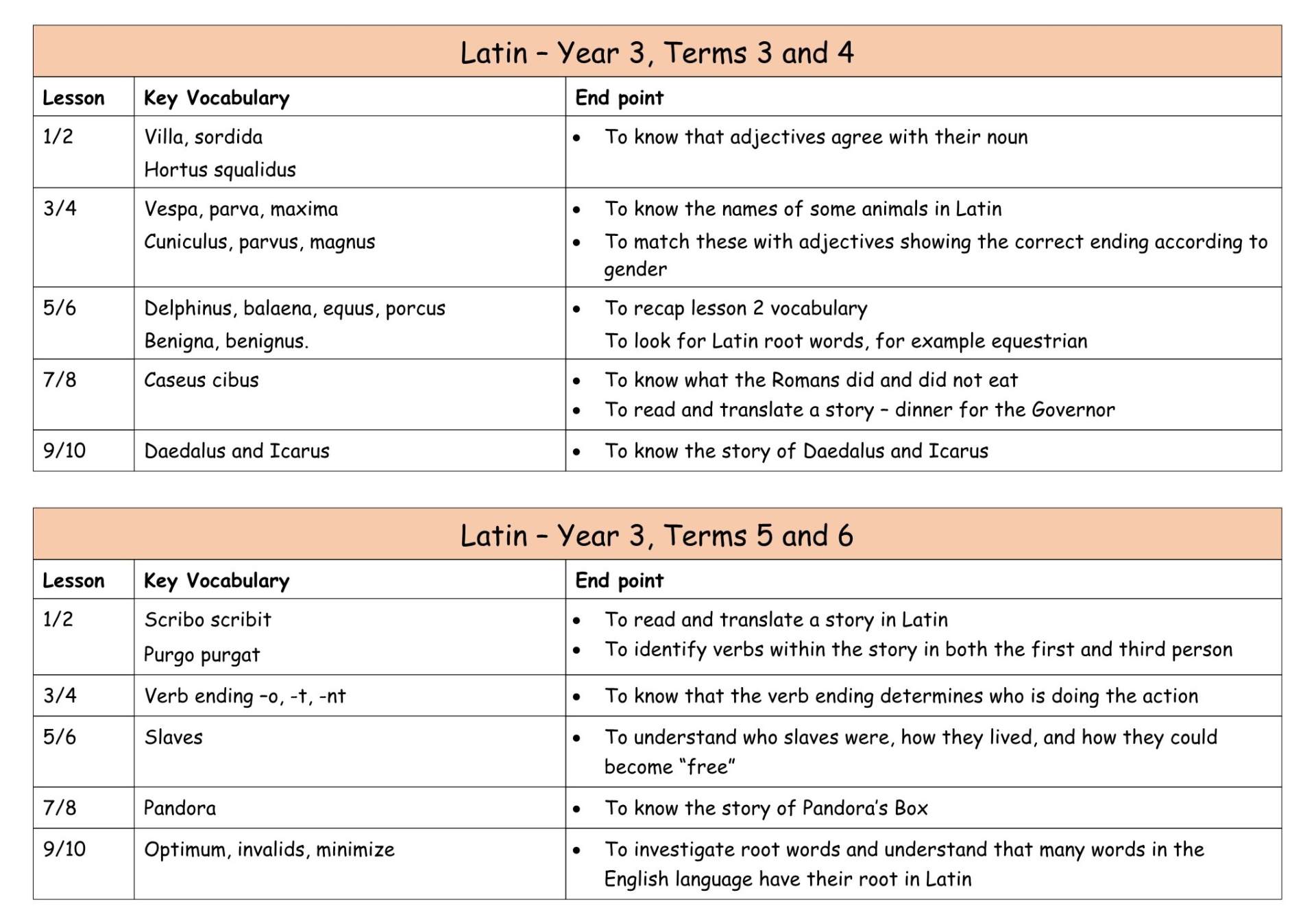 Y3 Latin MTP Term 2