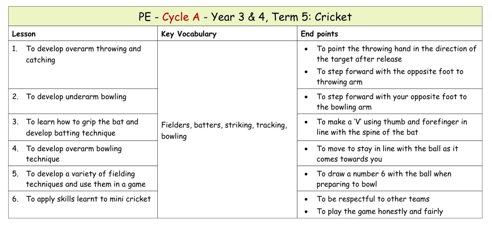 Yr 3 Term 5 Cricket