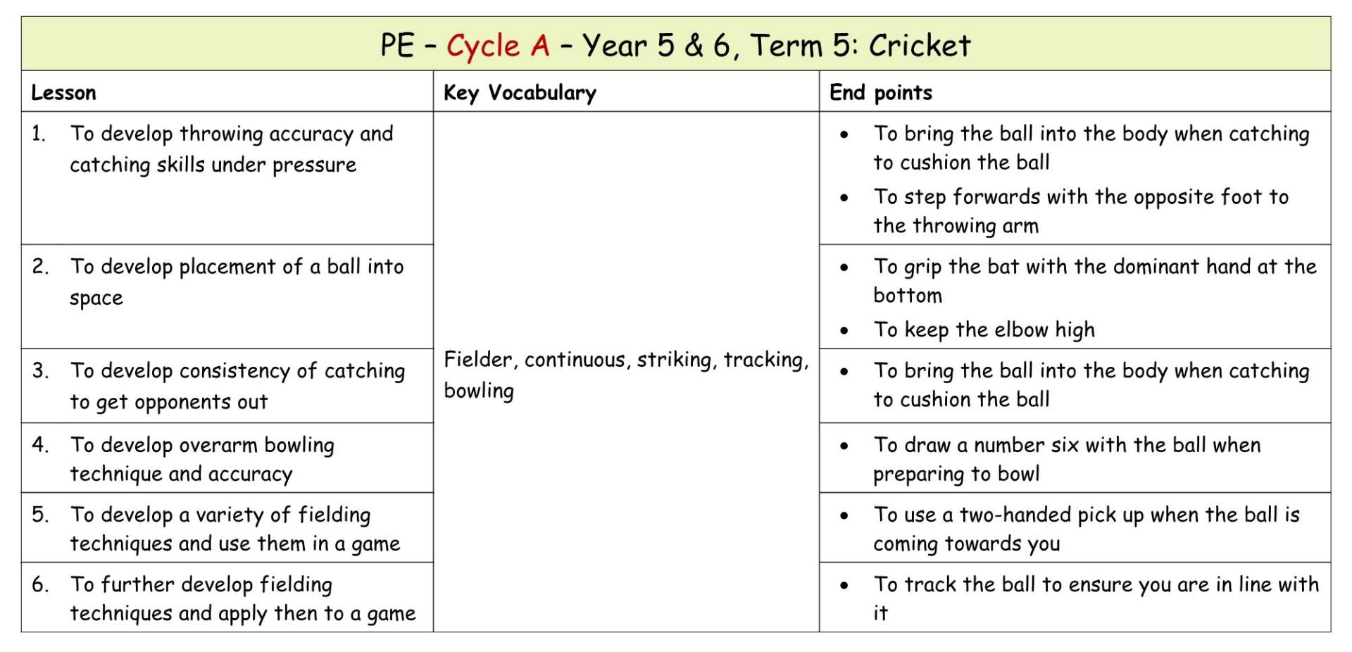 Yr 5 Term 5 Cricket