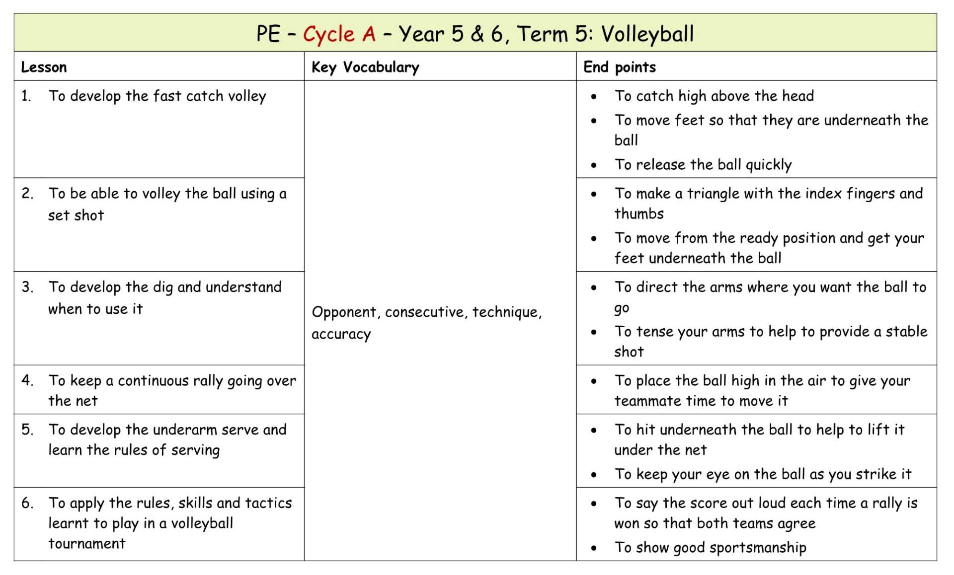 Yr 6 Term 5 Volleyball