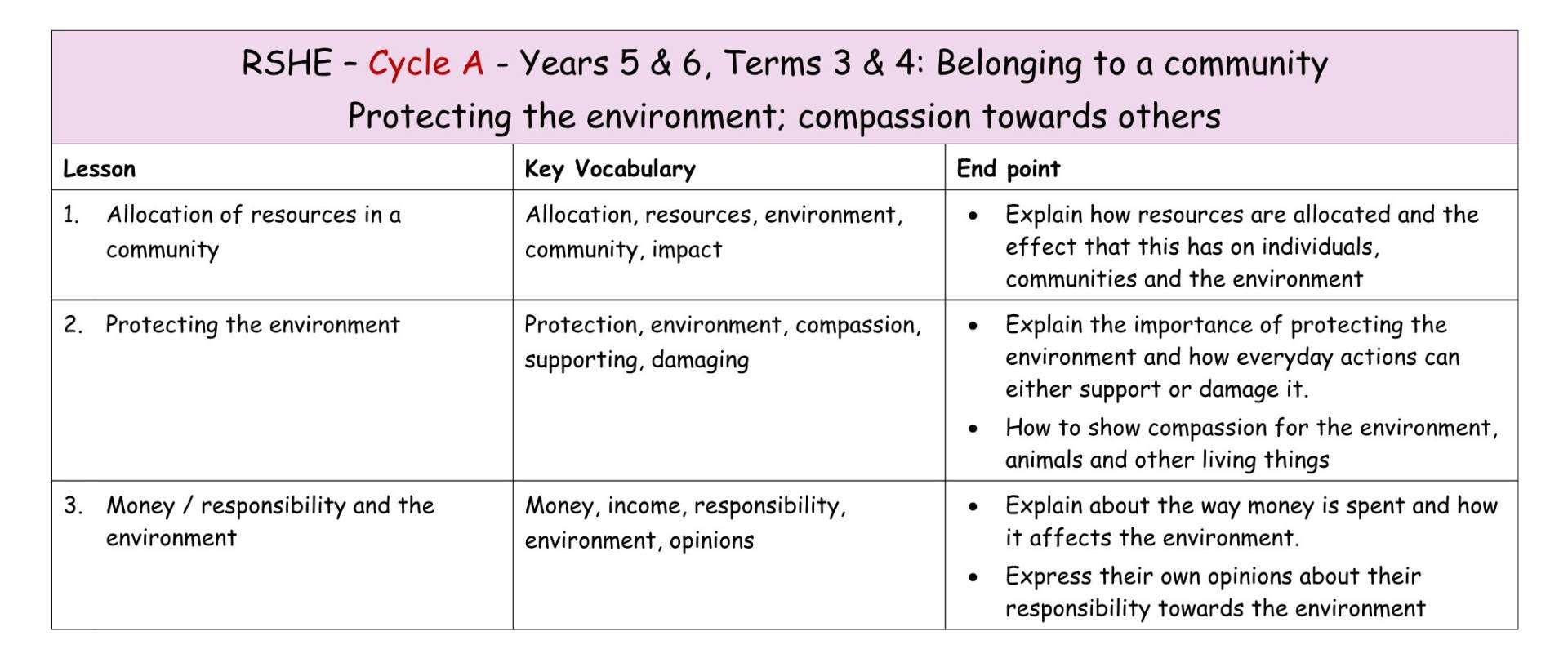 RSHE Y5&6 MTP T3&4a