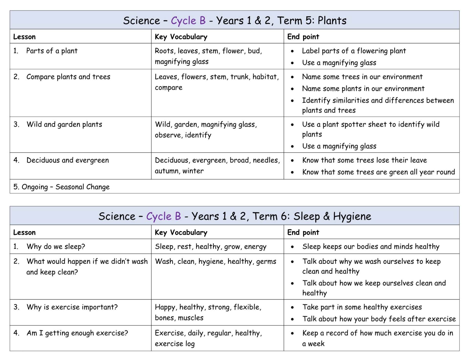 Yr 1+2 Cycle B Term 5-6