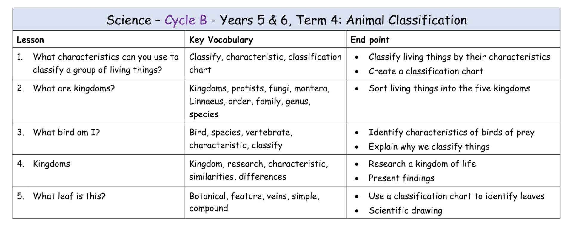 Yr 5+6 Cycle B Term 4