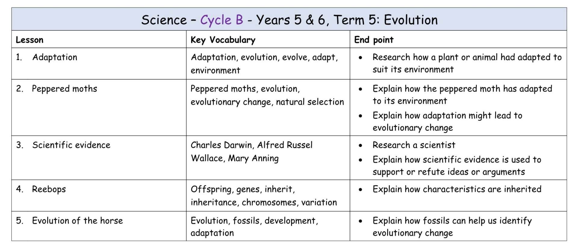 Yr 5+6 Cycle B Term 5