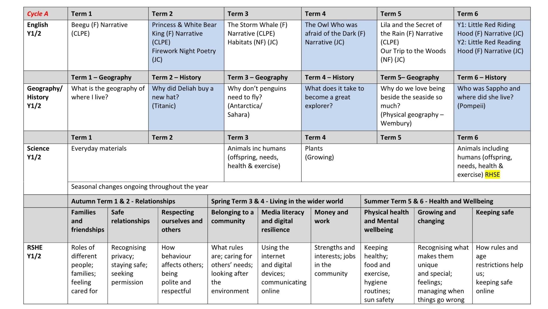 Y1 Long Term Plan 1