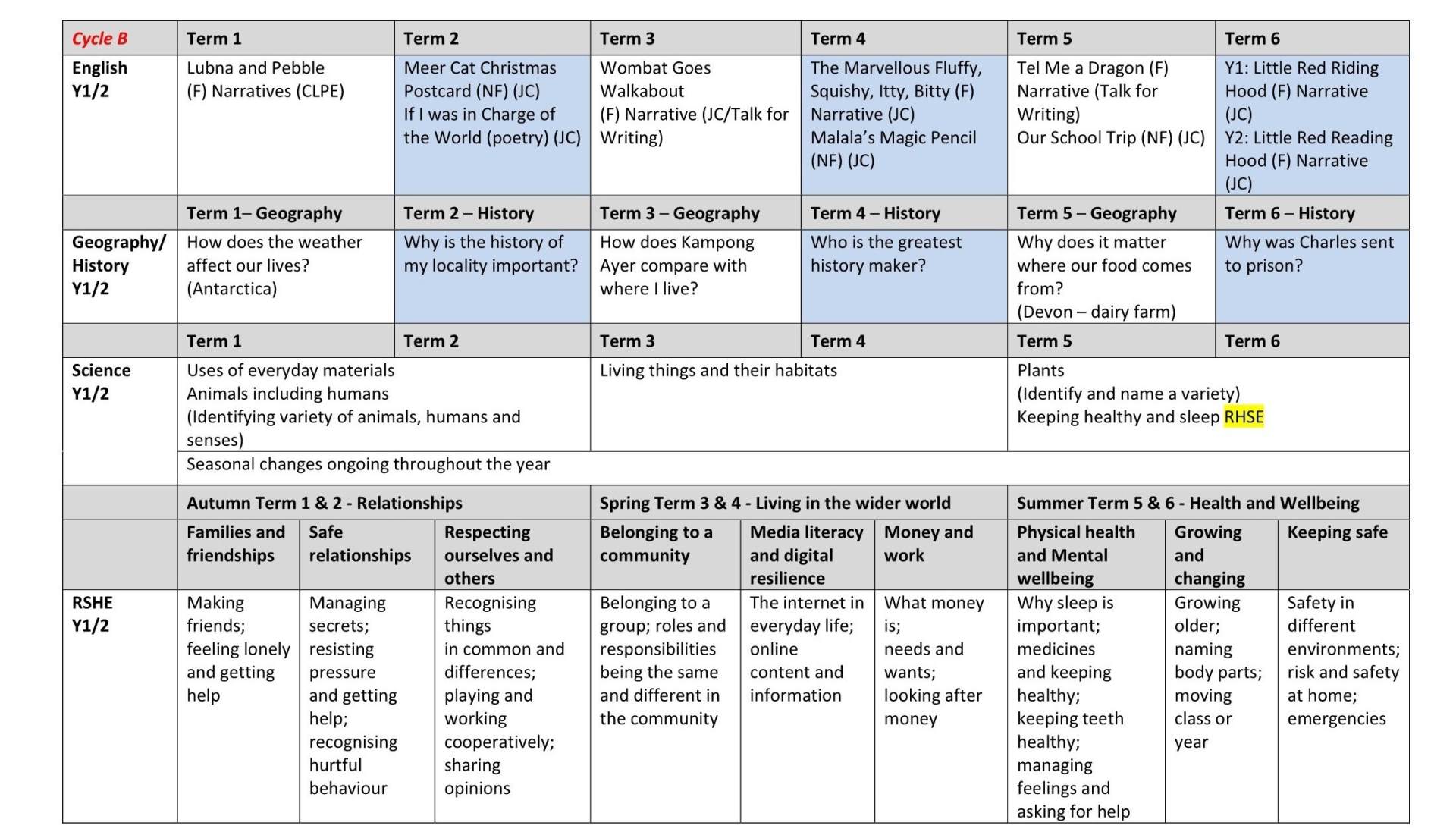 Y1 Long Term Plan 3